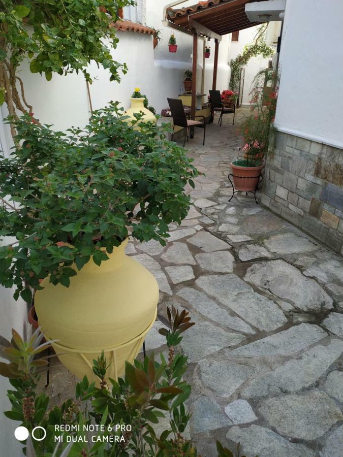 Pension Nikolas Skiathos Town Luaran gambar
